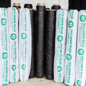 Silver Black 25 Micron Mulching Film Installed in Vegetable Farm