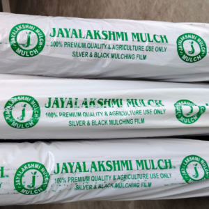 Silver Black 25 Micron Mulching Film Installed in Vegetable Farm