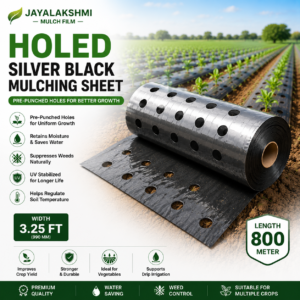 Holed Silver Black Mulching Sheet 3.25FT